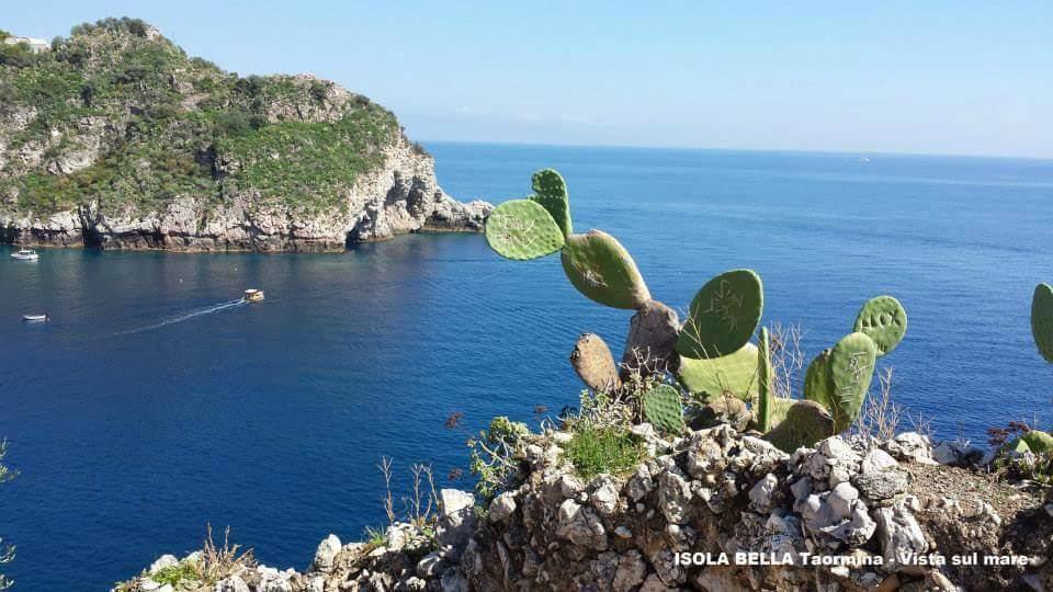 Candida Giardini-Naxos